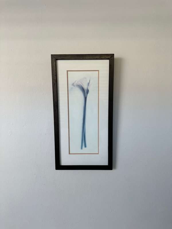 Framed Print, Arum Lily - Finished Size 26.5cm x 52.5cm