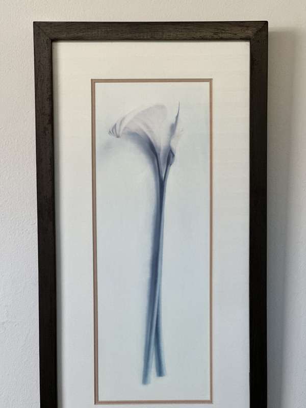 Framed Print, Arum Lily - Finished Size 26.5cm x 52.5cm