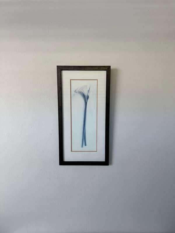Framed Print, Arum Lily - Finished Size 26.5cm x 52.5cm