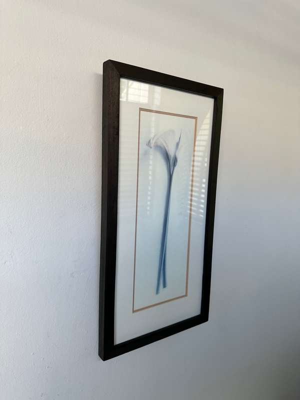 Framed Print, Arum Lily - Finished Size 26.5cm x 52.5cm