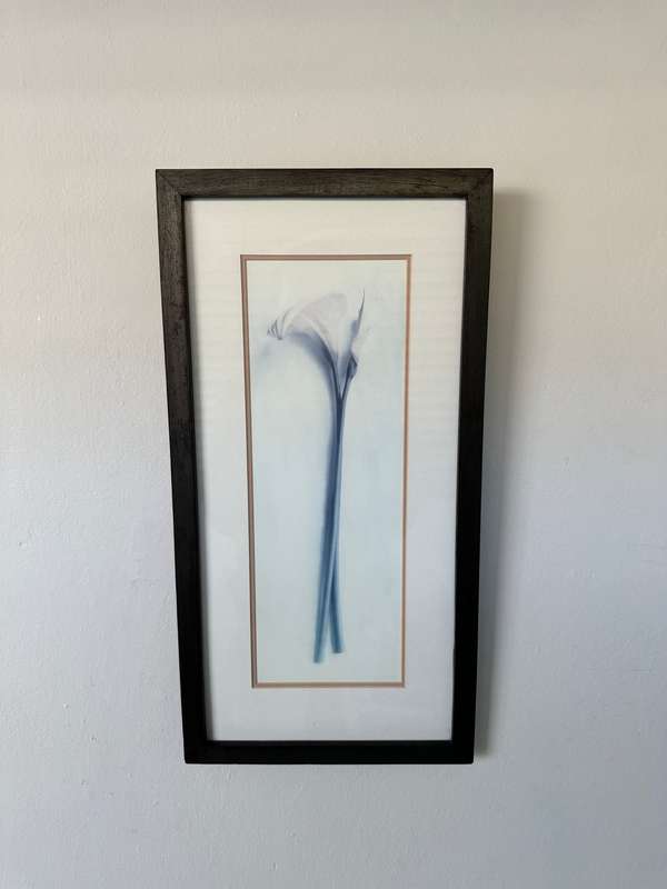 Framed Print, Arum Lily - Finished Size 26.5cm x 52.5cm