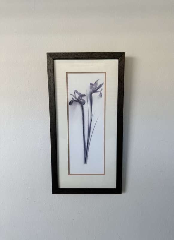 Framed Print, Iris - Finished Size 26.5cm x 52.5cm