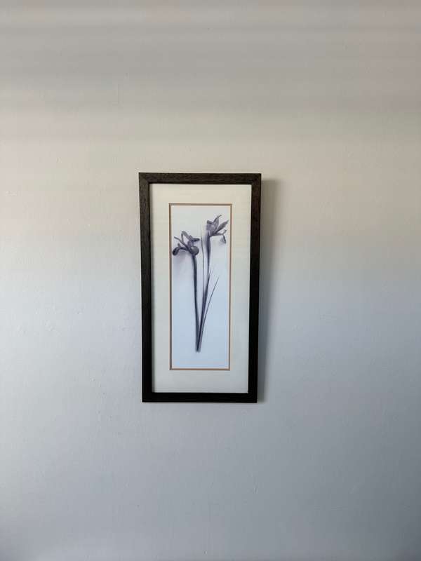Framed Print, Iris - Finished Size 26.5cm x 52.5cm