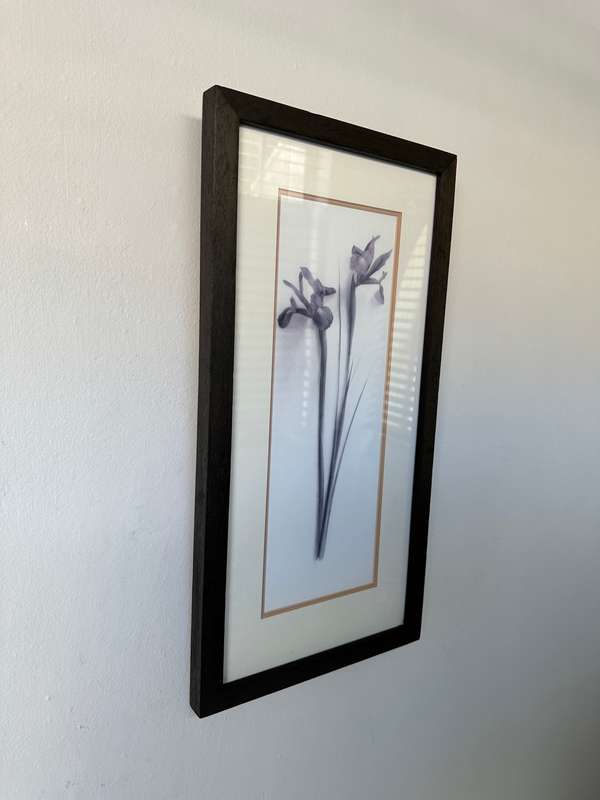 Framed Print, Iris - Finished Size 26.5cm x 52.5cm