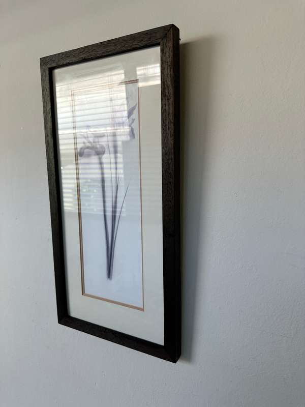 Framed Print, Iris - Finished Size 26.5cm x 52.5cm