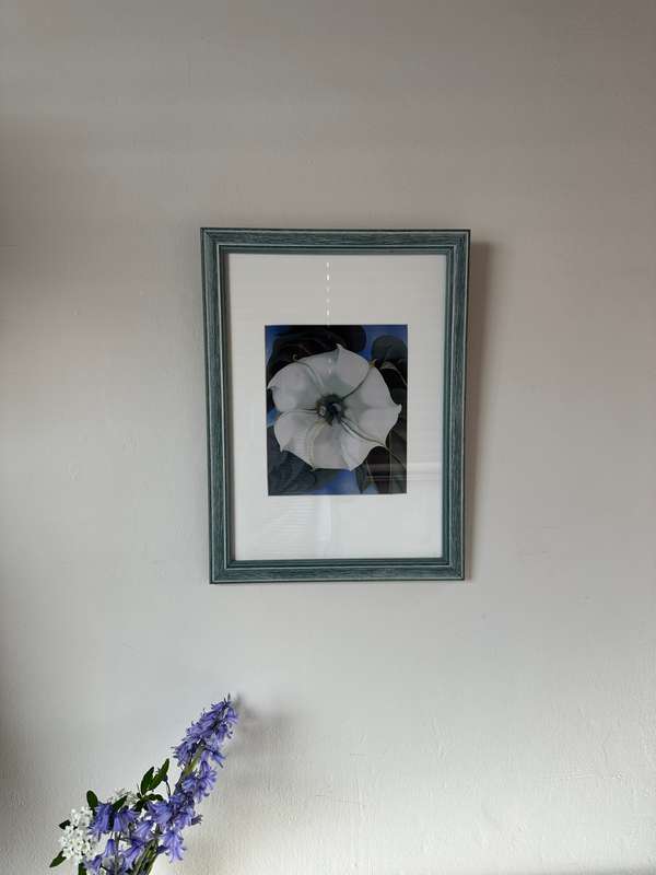 Framed Georgia O'Keeffe Print, Jimson Weed, Finished Size 35cm x 47cm