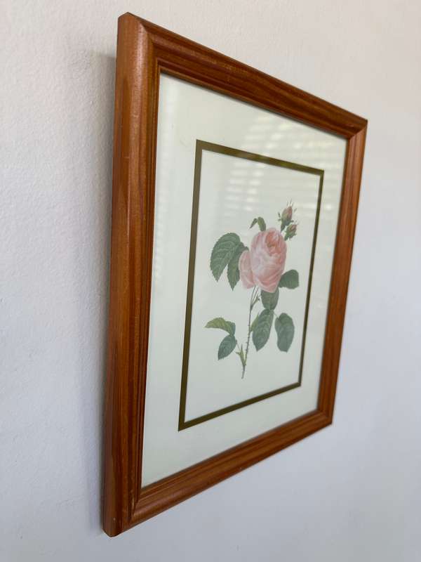 Framed Vintage Botanical Rose Print, Clear Glass, Wooden Frame - Finished Size 24.5cm x 29cm