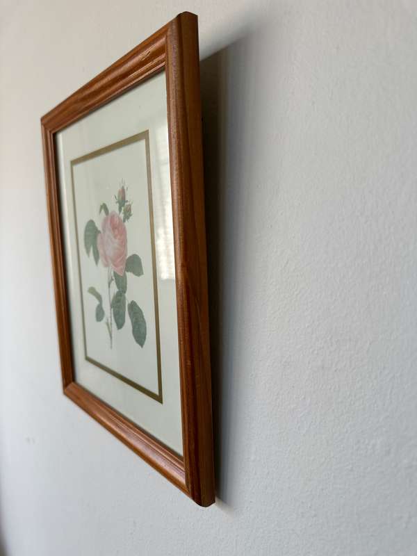Framed Vintage Botanical Rose Print, Clear Glass, Wooden Frame - Finished Size 24.5cm x 29cm