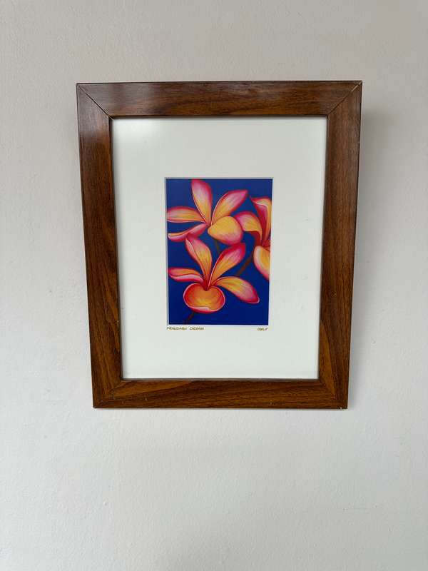 Framed Caple Print, Frangipani (Artist Signed) Finished Size 25cm x 30.5cm