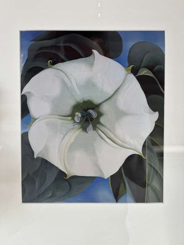 Framed Georgia O'Keeffe Print, Jimson Weed, Finished Size 35cm x 47cm