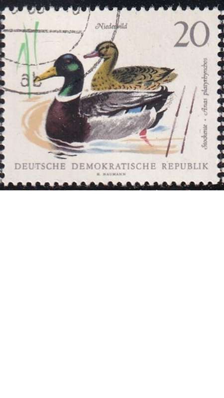 1968 Small Game - Birds & Hares, ddr. Germany.