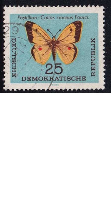 1964 Butterflies, DDR.