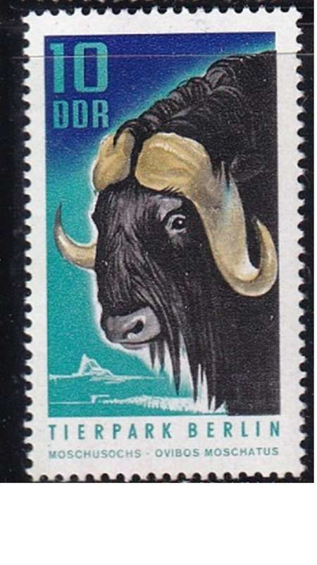 1970 Berlin Zoo, DDR.