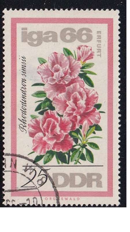 1966 Flowers - International Garden Exhibition in Erfurt, DDR.
