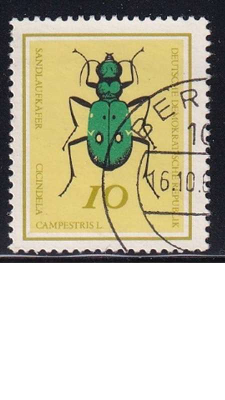 1968 Insects, DDR.