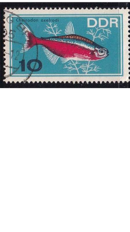 1966 Aquarium Fish, DDR. Germany