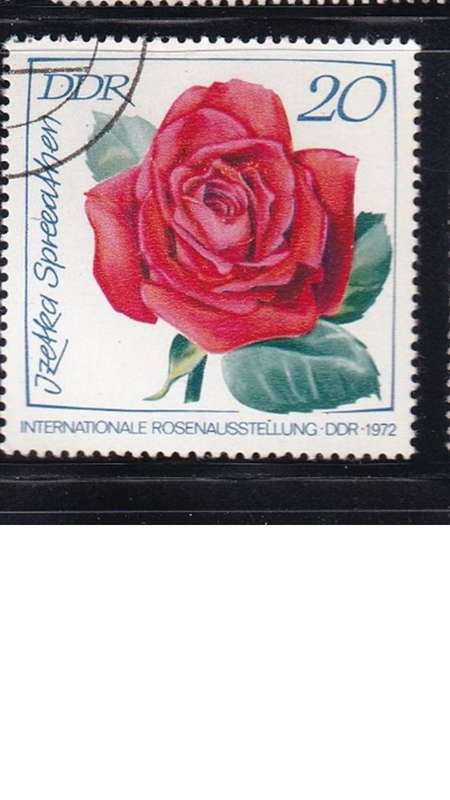 1972 International Rose Exhibition, DDR.