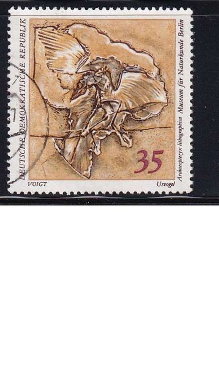 1973 Natural History Museum Pieces, DDR.
