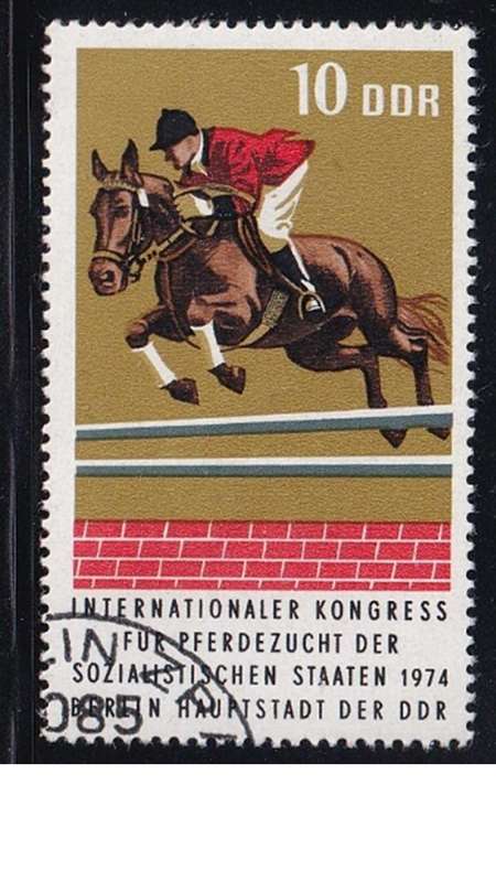 1974 Horses - International Horse Breeders of Socialist Countries Congress, DDR.