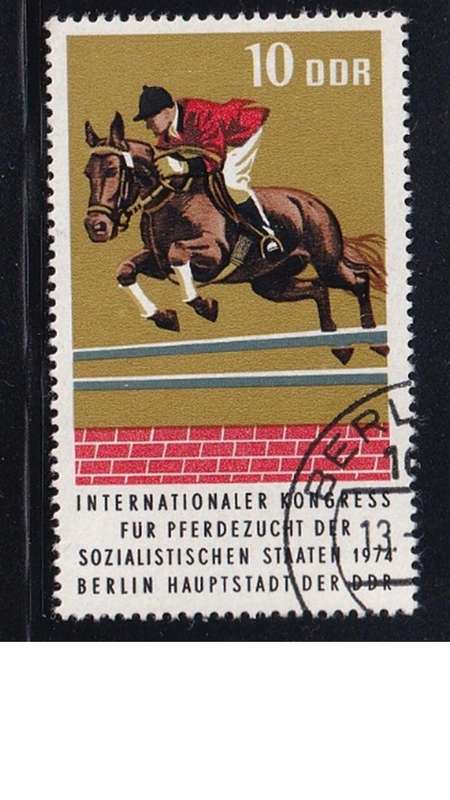 1974 Horses - International Horse Breeders of Socialist Countries Congress, DDR.