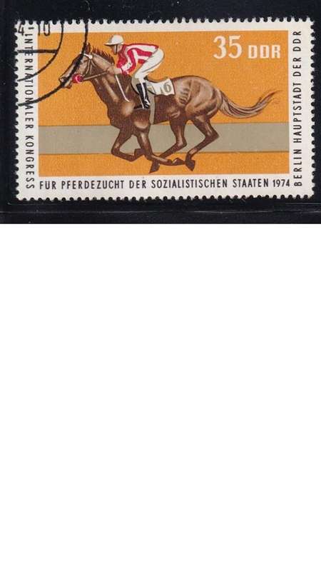 1974 Horses - International Horse Breeders of Socialist Countries Congress, DDR.