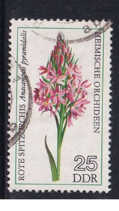 1976 Orchids, DDR.