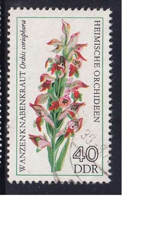 1976 Orchids, DDR.