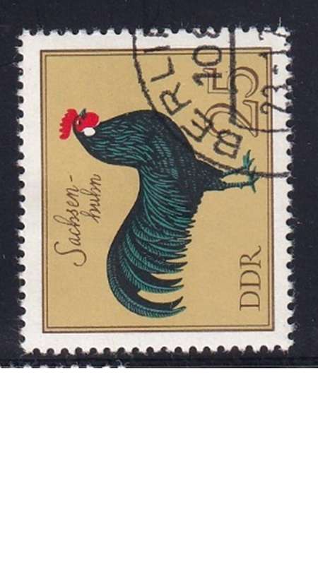 1979 Birds - German Cocks, DDR.