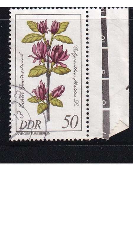 1981 Rare Flora, DDR.