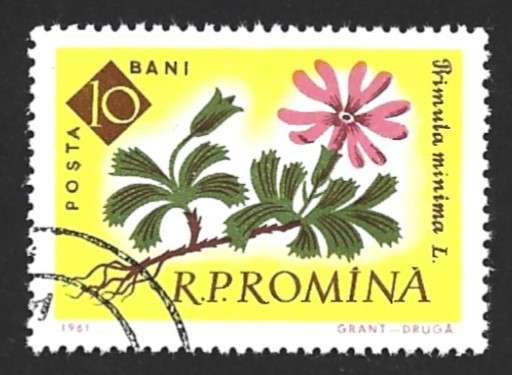1961 ROMANIA FLOWERS