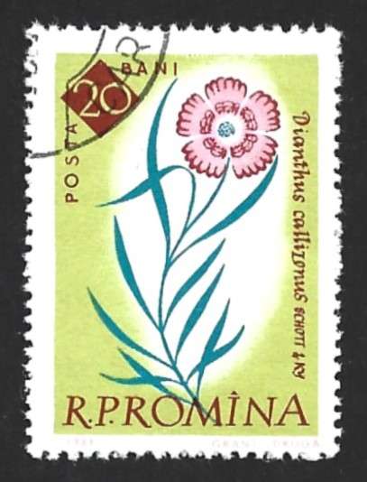 1961 ROMANIA FLOWERS