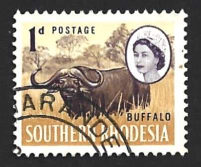 1964 SOUTHERN RHODESIA LOCAL MOTIVES