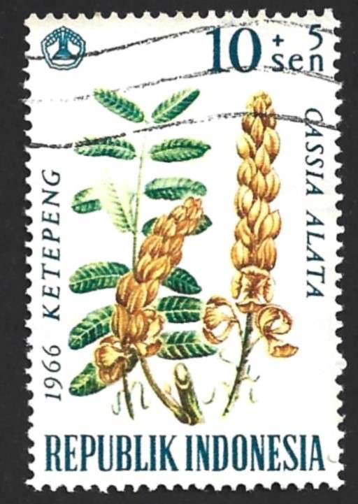 1966 INDONESIA FLOWER