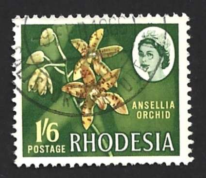1966 RHODESIA LOCAL MOTIVES
