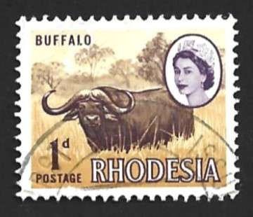 1966 RHODESIA LOCAL MOTIVES