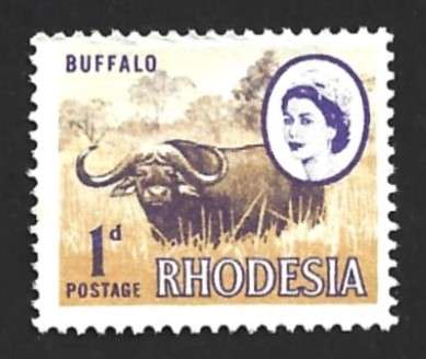 1966 RHODESIA LOCAL MOTIVES