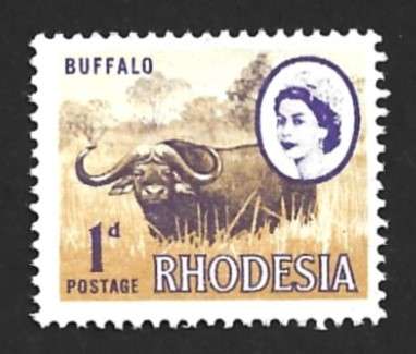 1966 RHODESIA LOCAL MOTIVES