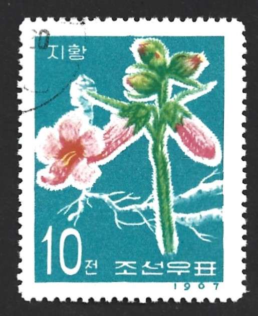 1967 KOREA MEDICINAL PLANTS