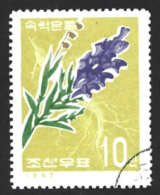 1967 KOREA MEDICINAL PLANTS