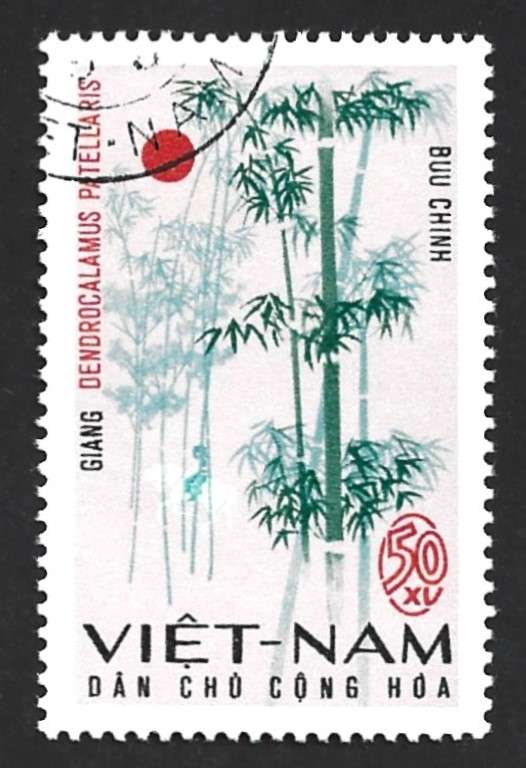1967 VIETNAM BAMBOO