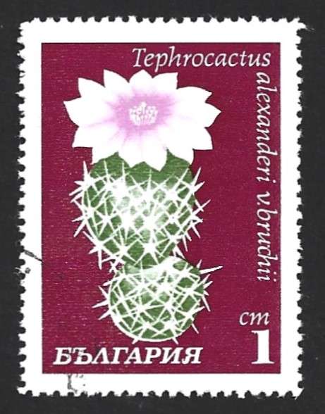 1970 BULGARIA CACTUSES