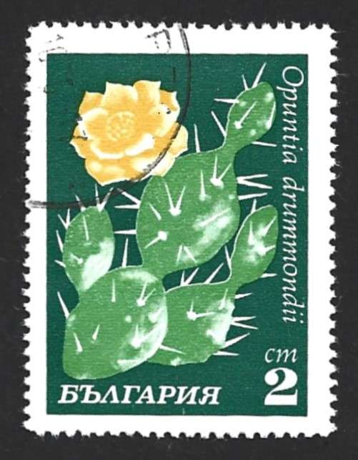 1970 BULGARIA CACTUSES