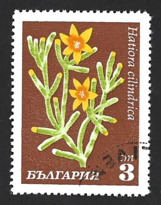 1970 BULGARIA CACTUSES