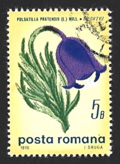 1970 ROMANIA FLOWERS