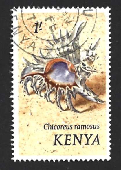 1971 KENYA SEASHELLS