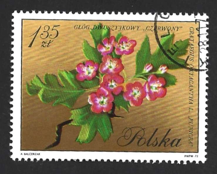 1971 POLAND FLOWERING TREES