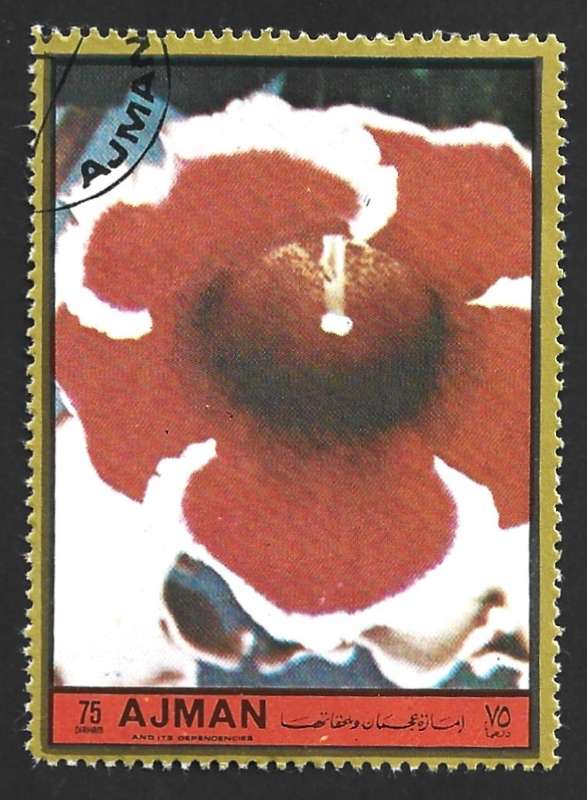 1972 AJMAN FLOWERS