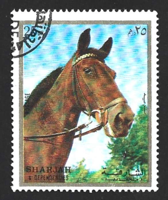 1972 SHARJAH HORSES