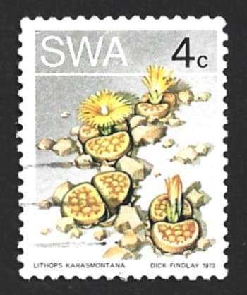 1973 SOUTH WEST AFRICA DESERT PLANT