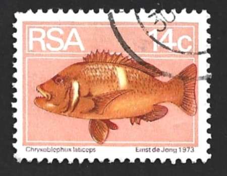 1974 SOUTH AFRICA FLORA AND FAUNA